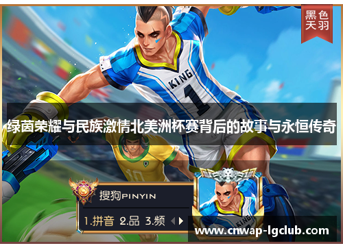 绿茵荣耀与民族激情北美洲杯赛背后的故事与永恒传奇