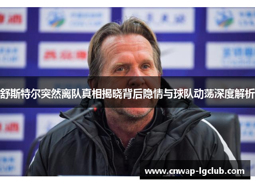 舒斯特尔突然离队真相揭晓背后隐情与球队动荡深度解析 舒斯特尔突然离队真相揭晓背后隐情与球队动荡深度解析